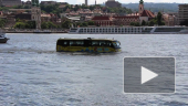 Плавающий автобус. Будапешт.