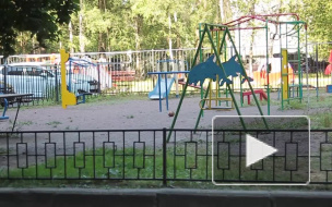 Новости часа: 28 июля, 14.00 — происшествия   