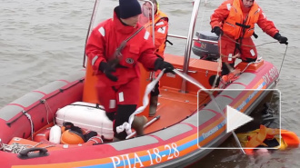 К поискам пропавшего в Стрельне мальчика подключились водолазы и волонтеры