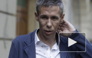 Актер Алексей Панин попал под амнистию после оскорбления полицейского