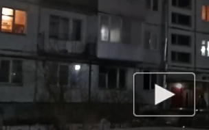 В гатчинской пятиэтажке загорелась квартира 