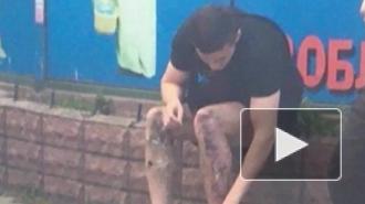 СБУ задержала двоих подозреваемых в организации взрывов в Киеве