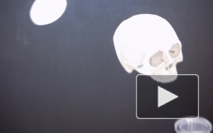 ПО ГАЛЕРЕЯМ И ВЕРНИСАЖАМ: Валерий Вальран, Маргарита Баранова 