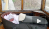 В Петербурге с 10 этажа упала малышка, спавшая на балконе