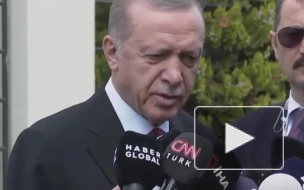 Эрдоган выразил желание провести встречу с Путиным в ближайшие 3-4 дня