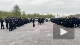 В Ленинградской области полиция провела миграционный рейд