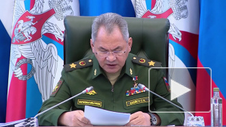 Сергей Шойгу призвал отрегулировать законы о СМИ
