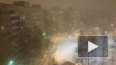 В Петербурге бушует пурга (видео)