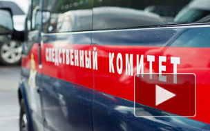 В Петербурге 16-летний подросток подозревается в двойном убийстве мигрантов