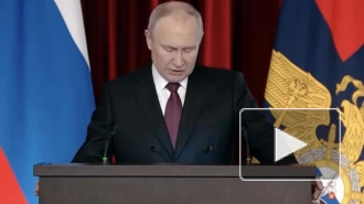 Путин: количество киберпреступлений превысило полмиллиона