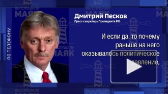 Песков призвал не превращать дело Дурова в политическое преследование