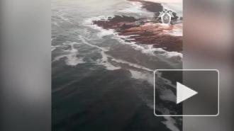 Капитан судна предстанет перед судом за нарушение правил управления, повлекшее гибель трёх человек