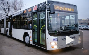 50 новых автобусов пополнят автопарк Петербурга