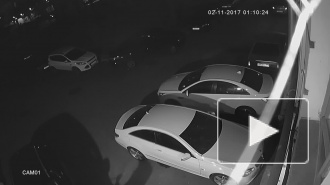Видео: на Среднеохтинском действует автовандал