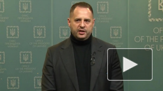 Советник Зеленского поделился ожиданиями от ухода Суркова из Кремля