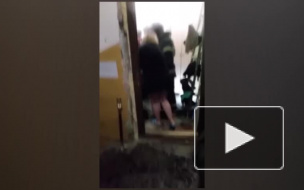 На Мясной спасатели вытащили из квартиры, заполненной кипятком, собаку и кошку