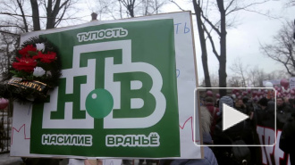 Марш оппозиции в Петербурге: депрессивные шарики, песни Цоя и пингвин-провокатор