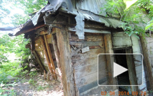 148 мигрантов в Тюмени прописали в "резиновом свинарнике"