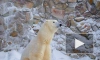 Животных из Ленинградского зоопарка проверяют на микропластик