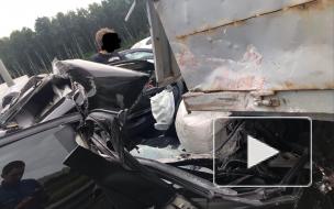 Видео: легковой автомобиль наполовину ушел под грузовик на КАД в районе Народной