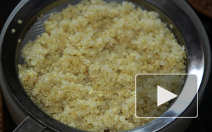 Любимая еда инков, "золотое зерно" киноа из Титикака — в России не прошло фитосанитарный контроль