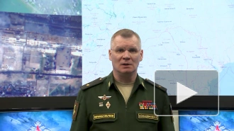 Минобороны РФ: российские военные сорвали несколько попыток ВСУ захватить остров Змеиный