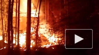 В Екатеринбурге сгорел дом местной экоактивистки