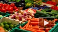 Эксперты: Петербург устал от заморских овощей