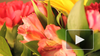 Стало известно, чего хотят женщины на 14 февраля