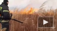 В Приморье локализовали природный пожар