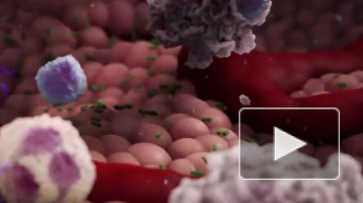 Ученые обнаружили первый новый штамм ВИЧ впервые за почти 20 лет