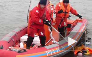 Голый утопленник с проломленным черепом перепугал семейную пару на Лахтинском разливе