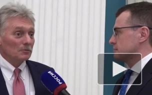 Песков прокомментировал принятую Германией военную стратегию