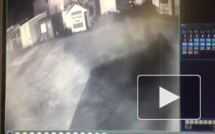 Медведь на рынке не дождался полицейских 