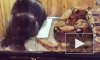 На Youtube уничтожены ролики жестокого скармливания удаву животных, живодера пытаются засудить