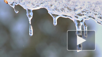 В Новосибирске введен режим ЧС из-за снега