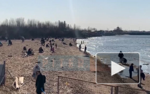 Поддались солнечному соблазну: на берег Финского залива вышли нарушители самоизоляции