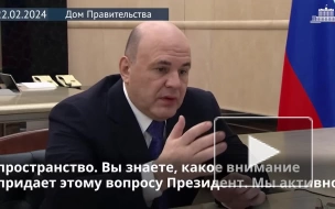 Мишустин заявил, что власти РФ делают все для развития госуслуг в Донбассе и Новороссии