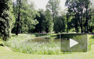 Ботанический сад в Петербурге приукрасили, но не до конца