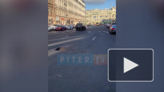 На улице Марата "растаял" асфальт: три автомобиля пробили колеса