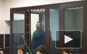 В Петербурге арестовали политолога, обманувшего экс-ректора СПбГАУ