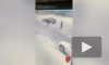 Появилось видео задержания предполагаемых заказчика и исполнителя убийства юриста на Выборгском шоссе