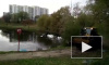 В Ясенево автомобиль с женщиной и ребенком съехал в пруд и затонул
