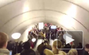 Давка у метро "Проспект Просвещения" повторяется второй день