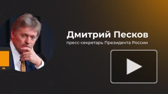 Песков: Зеленский готовился к войне и перестал быть возможным собеседником для Путина