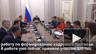 Голикова: число занятых на рынке труда к 2032 году составит 74,3 млн человек