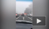 Видео: на Суздальском проспекте загорелся автобус