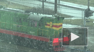 Появилось видео аномального апрельского снега в Петербурге