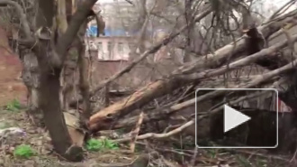 Мощный ураган пронесся в Ростовской области, оставив после себя огромные разрушения