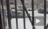 Три миниатюрные девушки вытолкали из сугроба парня на "девятке" в Воронеже